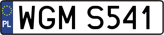 WGMS541