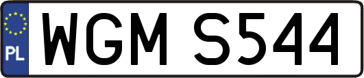 WGMS544