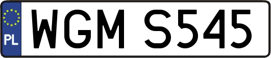 WGMS545