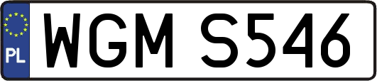 WGMS546