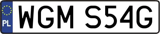 WGMS54G