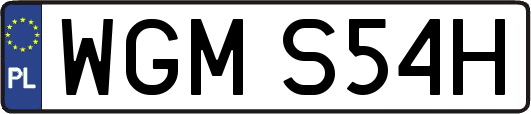 WGMS54H