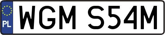 WGMS54M
