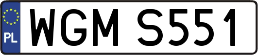 WGMS551