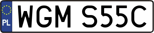 WGMS55C