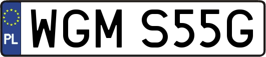 WGMS55G