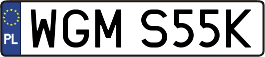 WGMS55K