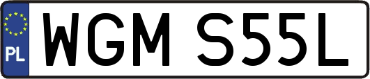 WGMS55L