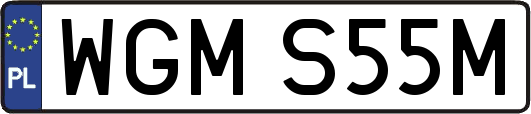 WGMS55M
