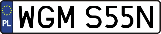 WGMS55N