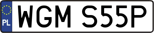 WGMS55P