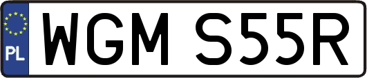 WGMS55R