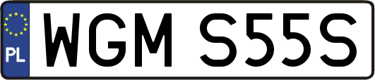 WGMS55S