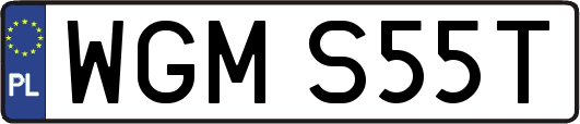 WGMS55T