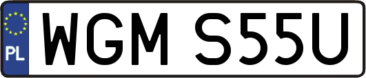 WGMS55U