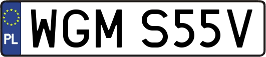 WGMS55V