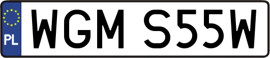 WGMS55W