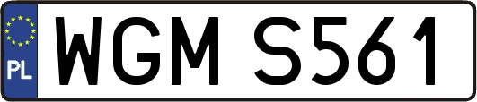 WGMS561
