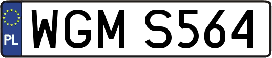 WGMS564