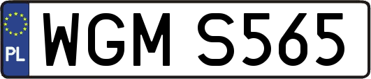 WGMS565