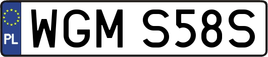 WGMS58S