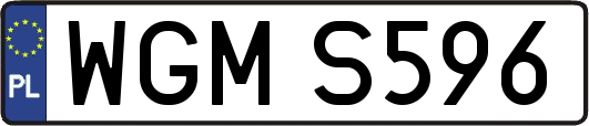 WGMS596