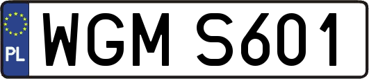 WGMS601