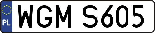 WGMS605