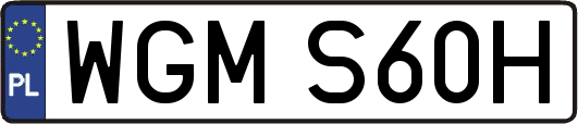 WGMS60H