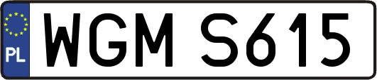 WGMS615