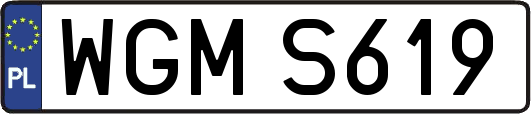 WGMS619