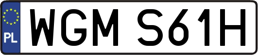 WGMS61H