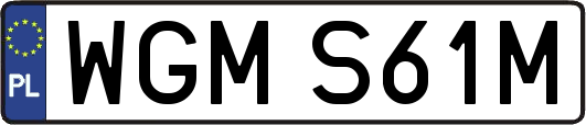 WGMS61M