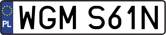 WGMS61N