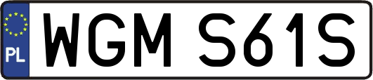 WGMS61S