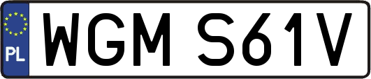 WGMS61V
