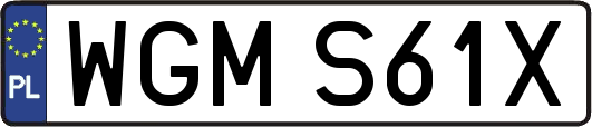 WGMS61X