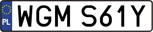 WGMS61Y