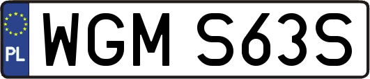 WGMS63S