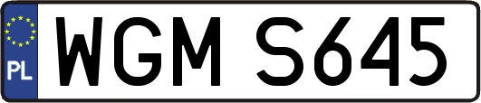 WGMS645