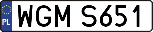 WGMS651