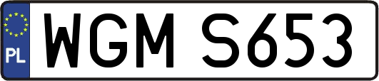 WGMS653