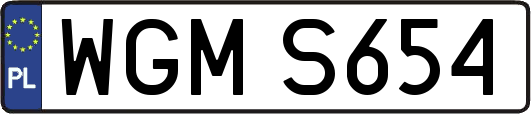 WGMS654