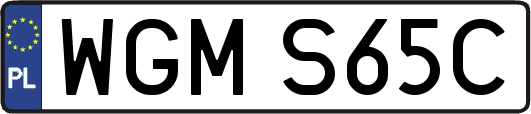 WGMS65C