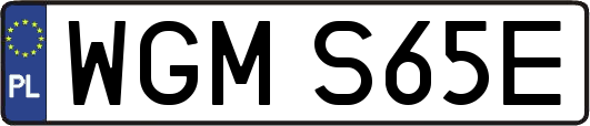 WGMS65E