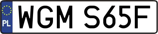 WGMS65F