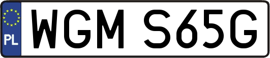 WGMS65G