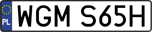 WGMS65H