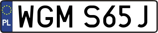 WGMS65J