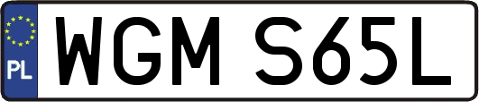 WGMS65L
